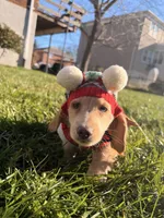 processed/4864793e-30ae-4210-9619-aa03deb9cadb/listing/20d40d98-b2dd-44af-917b-731502f9c43d/1c0ea7a0-c3f7-480b-873b-25ae5e753e26