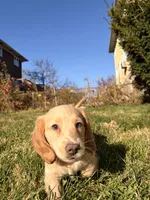 processed/4864793e-30ae-4210-9619-aa03deb9cadb/listing/20d40d98-b2dd-44af-917b-731502f9c43d/3251804e-b8da-4e22-8d41-b935ade4a8d7