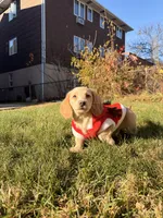 processed/4864793e-30ae-4210-9619-aa03deb9cadb/listing/20d40d98-b2dd-44af-917b-731502f9c43d/8df9ca27-d884-4ea6-8b0d-c44cd2f63018