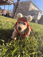 processed/4864793e-30ae-4210-9619-aa03deb9cadb/listing/20d40d98-b2dd-44af-917b-731502f9c43d/ce3cc1f9-954e-4522-a55e-91070fa4e929