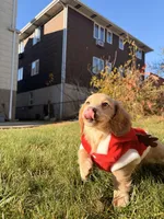 processed/4864793e-30ae-4210-9619-aa03deb9cadb/listing/20d40d98-b2dd-44af-917b-731502f9c43d/f4fde524-816e-4b6b-ae80-2f08770f3748