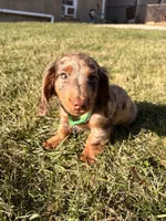 processed/4864793e-30ae-4210-9619-aa03deb9cadb/listing/92839ab0-30da-4c7b-839c-9cee935678a1/2964e278-927f-454c-ae3a-f8291c89097d