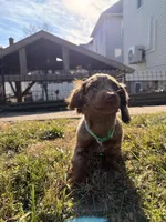 processed/4864793e-30ae-4210-9619-aa03deb9cadb/listing/92839ab0-30da-4c7b-839c-9cee935678a1/4677c4de-bc1d-4ba6-94c3-5356b586cb71