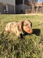 processed/4864793e-30ae-4210-9619-aa03deb9cadb/listing/92839ab0-30da-4c7b-839c-9cee935678a1/a65d8c94-f9e3-42d3-95b2-89af64f5e1e8