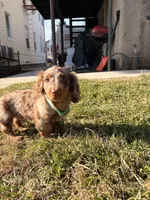 processed/4864793e-30ae-4210-9619-aa03deb9cadb/listing/92839ab0-30da-4c7b-839c-9cee935678a1/c1895c89-d18f-44cb-8f8b-cb51d8891328