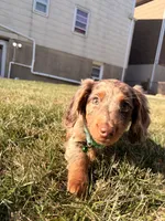 processed/4864793e-30ae-4210-9619-aa03deb9cadb/listing/92839ab0-30da-4c7b-839c-9cee935678a1/de58452b-d2f4-4097-9ff6-f2a03b83adf0