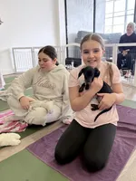 Pluto, a male Miniature Dachshund for sale in New York City, NY – Photo 3 of 5