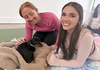 Pluto, a male Miniature Dachshund for sale in New York City, NY – Photo 4 of 5