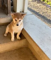 processed/4864ec20-8a00-48f1-bb9e-cca55aacef5a/listing/3bb228c9-4aa2-4703-ad50-6142aaa01075/6aeaa696-7397-4557-8ec8-9a563a6e2ac0