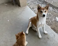 processed/4864ec20-8a00-48f1-bb9e-cca55aacef5a/listing/6d2924af-e5e4-47d4-b33f-a7793756926a/57e6f164-e4ad-40ee-a09f-781edd1b4777