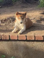 processed/4864ec20-8a00-48f1-bb9e-cca55aacef5a/listing/6d2924af-e5e4-47d4-b33f-a7793756926a/c8fce754-8c4c-401c-b632-dfba2d86cc4a