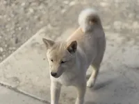 processed/4864ec20-8a00-48f1-bb9e-cca55aacef5a/listing/78b22ca5-4453-4f4e-8fb3-6903c2504909/2ebb16ba-1aeb-4e13-a213-6cc223c39ca9