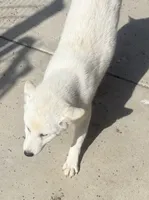 processed/4864ec20-8a00-48f1-bb9e-cca55aacef5a/listing/e967553b-e12b-424a-85cd-92d8e069351a/af430519-f097-4d82-9695-049543f2afb1