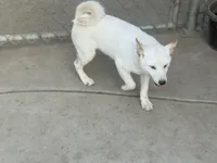 processed/4864ec20-8a00-48f1-bb9e-cca55aacef5a/listing/e967553b-e12b-424a-85cd-92d8e069351a/d2298b82-fd8d-4ea1-afc8-1845332d9baf