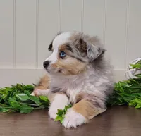 processed/486891af-444c-4ff4-91ba-91da7ac6f35f/listing/a61861a9-4bd4-4f4f-b971-49139c71bb20/0b069857-f6e9-4c92-bb0b-bfddea264583