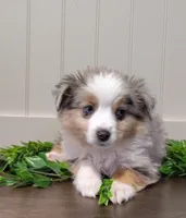 processed/486891af-444c-4ff4-91ba-91da7ac6f35f/listing/a61861a9-4bd4-4f4f-b971-49139c71bb20/73f4cd69-b855-4a32-a3bb-10c280707ddc