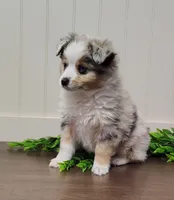 processed/486891af-444c-4ff4-91ba-91da7ac6f35f/listing/a61861a9-4bd4-4f4f-b971-49139c71bb20/7bcc3e37-6cbf-4a8f-b6c9-fd8d6751e695