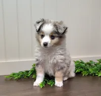 processed/486891af-444c-4ff4-91ba-91da7ac6f35f/listing/a61861a9-4bd4-4f4f-b971-49139c71bb20/900305e9-ce4b-4e8a-b14c-69e4dc25afac