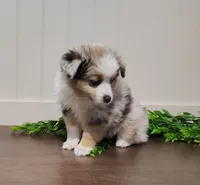 processed/486891af-444c-4ff4-91ba-91da7ac6f35f/listing/a61861a9-4bd4-4f4f-b971-49139c71bb20/d1ad17d9-a094-4928-98df-dace7c04735e