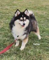 processed/48708986-ada5-47ed-84fd-8f70a0dc06ea/listing/8d8db360-8f16-47bf-8f70-62a6b5bd77df/a15fefb5-3ace-4855-8eba-1d9c4bc4e6b5