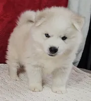 processed/48708986-ada5-47ed-84fd-8f70a0dc06ea/listing/8d8db360-8f16-47bf-8f70-62a6b5bd77df/c04317c4-1ae6-4453-a7ef-612aa2f6bda0