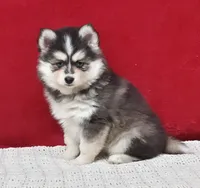 processed/48708986-ada5-47ed-84fd-8f70a0dc06ea/listing/cfc54929-e6cd-4a63-b078-67fd31a1972d/49c6a86a-ef0b-48ab-a5a4-216043ec89b3