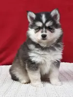 processed/48708986-ada5-47ed-84fd-8f70a0dc06ea/listing/cfc54929-e6cd-4a63-b078-67fd31a1972d/99b0f756-cc84-44f0-a6c8-b507b8145de5