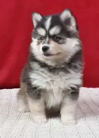 processed/48708986-ada5-47ed-84fd-8f70a0dc06ea/listing/cfc54929-e6cd-4a63-b078-67fd31a1972d/c729ac94-fa4d-46b4-9581-e51856747538