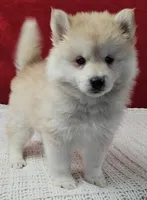 processed/48708986-ada5-47ed-84fd-8f70a0dc06ea/listing/d9a223c1-294f-4355-aa23-c59a4a0263b3/3f454f9a-904e-42b3-b55b-4ca5fb04d1b3