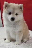 processed/48708986-ada5-47ed-84fd-8f70a0dc06ea/listing/d9a223c1-294f-4355-aa23-c59a4a0263b3/b9d975a9-0120-4761-a059-26d6420ce17a