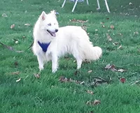 processed/48708986-ada5-47ed-84fd-8f70a0dc06ea/listing/d9a223c1-294f-4355-aa23-c59a4a0263b3/d15bcba9-a421-4ae2-9c6c-2af5cf8e31d2