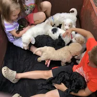 processed/4873c9e9-9334-4650-ac56-0df01970f762/facility/08592453-a482-4b10-b434-ef937411ed6b