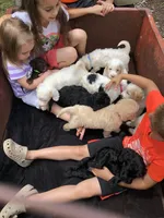 processed/4873c9e9-9334-4650-ac56-0df01970f762/facility/08592453-a482-4b10-b434-ef937411ed6b