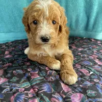 processed/4873c9e9-9334-4650-ac56-0df01970f762/facility/44628d33-d97f-40a8-a3f7-5a9804d32a4e