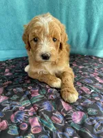 processed/4873c9e9-9334-4650-ac56-0df01970f762/facility/44628d33-d97f-40a8-a3f7-5a9804d32a4e