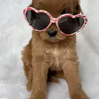 processed/4873c9e9-9334-4650-ac56-0df01970f762/facility/59660d82-b22b-496b-8ced-5d66fe0fba80