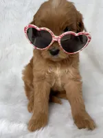 processed/4873c9e9-9334-4650-ac56-0df01970f762/facility/59660d82-b22b-496b-8ced-5d66fe0fba80