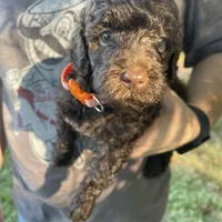 processed/4873c9e9-9334-4650-ac56-0df01970f762/facility/6c41f20f-3b21-4a49-95af-61661dcd53f0