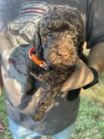 processed/4873c9e9-9334-4650-ac56-0df01970f762/facility/6c41f20f-3b21-4a49-95af-61661dcd53f0