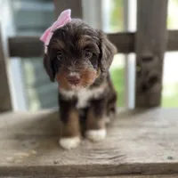 processed/4873c9e9-9334-4650-ac56-0df01970f762/facility/b4d2208e-4516-47f9-888d-fb56957fad62