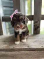 processed/4873c9e9-9334-4650-ac56-0df01970f762/facility/b4d2208e-4516-47f9-888d-fb56957fad62