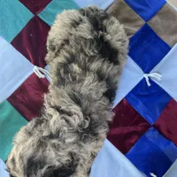 processed/4873c9e9-9334-4650-ac56-0df01970f762/facility/dddbc319-d300-4100-b067-2b63dda16b93