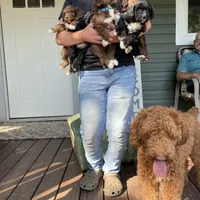 processed/4873c9e9-9334-4650-ac56-0df01970f762/facility/f5d056ac-4019-4158-89a4-c2e02e202b25