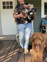 processed/4873c9e9-9334-4650-ac56-0df01970f762/facility/f5d056ac-4019-4158-89a4-c2e02e202b25