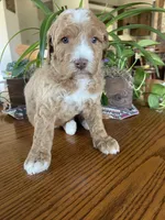 processed/4873c9e9-9334-4650-ac56-0df01970f762/listing/6675e6e5-edaa-43ca-ac3d-a0b8e8a52c5e/32726324-6bb6-43c8-891e-40eac892e685