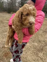 processed/4873c9e9-9334-4650-ac56-0df01970f762/listing/6675e6e5-edaa-43ca-ac3d-a0b8e8a52c5e/438a2f2d-97f7-4ff6-a4a7-b4b3ba96f5d6