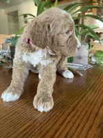 processed/4873c9e9-9334-4650-ac56-0df01970f762/listing/6675e6e5-edaa-43ca-ac3d-a0b8e8a52c5e/7bb71eca-43e9-47b4-b885-319b9ac3b5fa