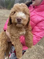 processed/4873c9e9-9334-4650-ac56-0df01970f762/listing/6675e6e5-edaa-43ca-ac3d-a0b8e8a52c5e/9f19ebdc-8753-4ce0-97f7-923d885ef39a