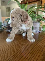 processed/4873c9e9-9334-4650-ac56-0df01970f762/listing/6675e6e5-edaa-43ca-ac3d-a0b8e8a52c5e/a3c93eab-cfab-4416-86e4-443a94a242f4