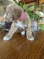 processed/4873c9e9-9334-4650-ac56-0df01970f762/listing/6675e6e5-edaa-43ca-ac3d-a0b8e8a52c5e/d6ebf882-34fc-404c-a0f1-380a5aadf865